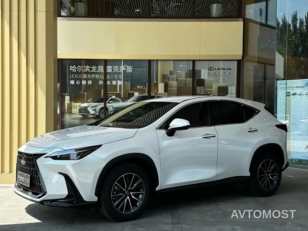 Lexus NX 2023 350h FWD Dynamic Edition — фото 1