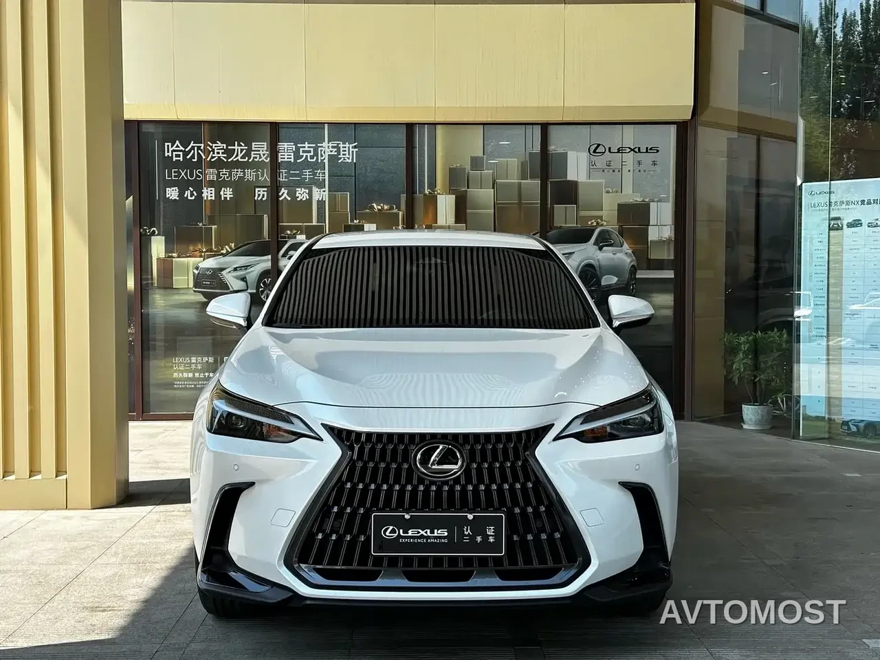Lexus NX 2023 350h FWD Dynamic Edition — фото 2