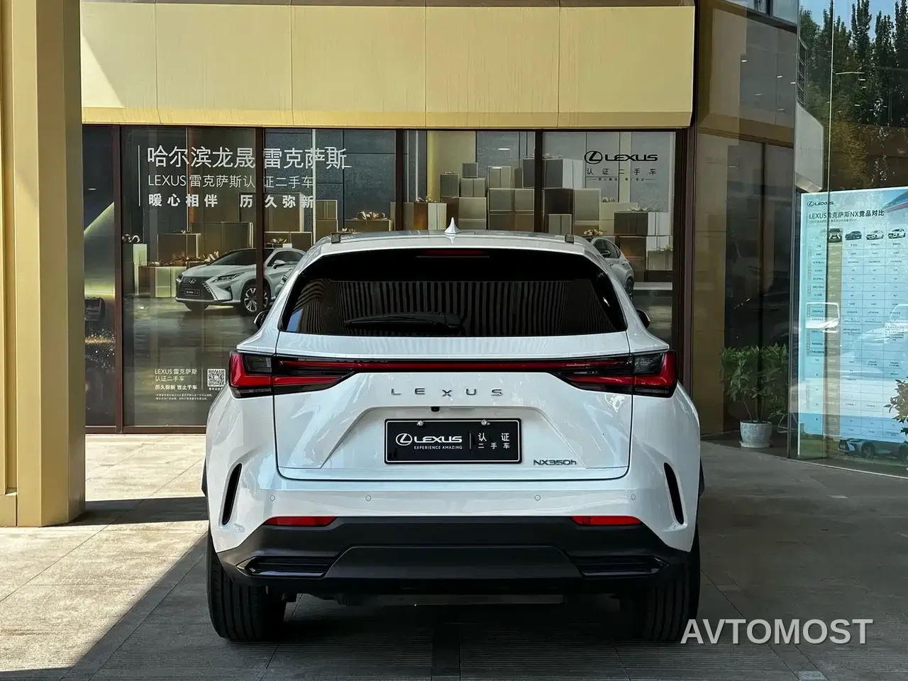 Lexus NX 2023 350h FWD Dynamic Edition — фото 3