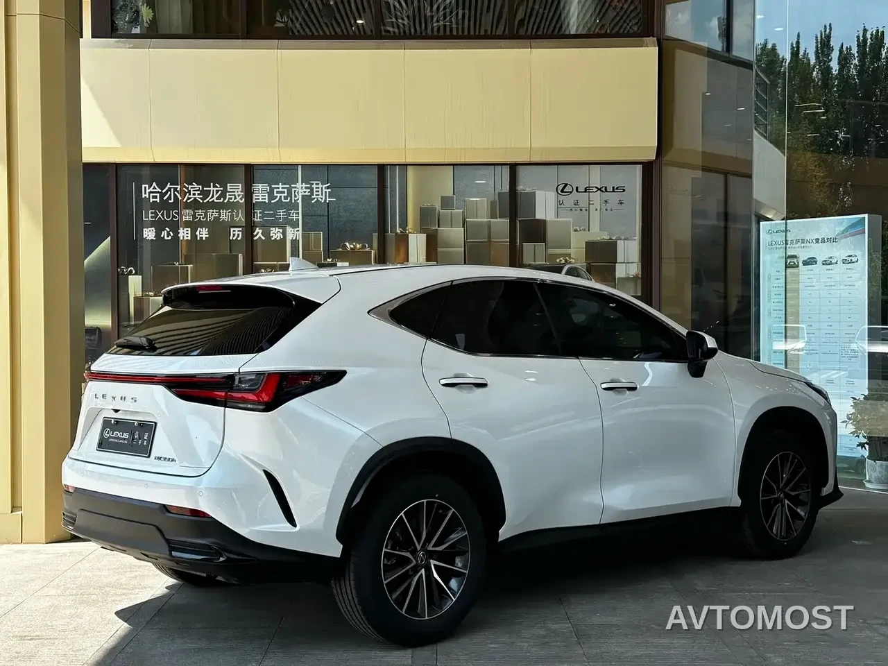Lexus NX 2023 350h FWD Dynamic Edition — фото 4