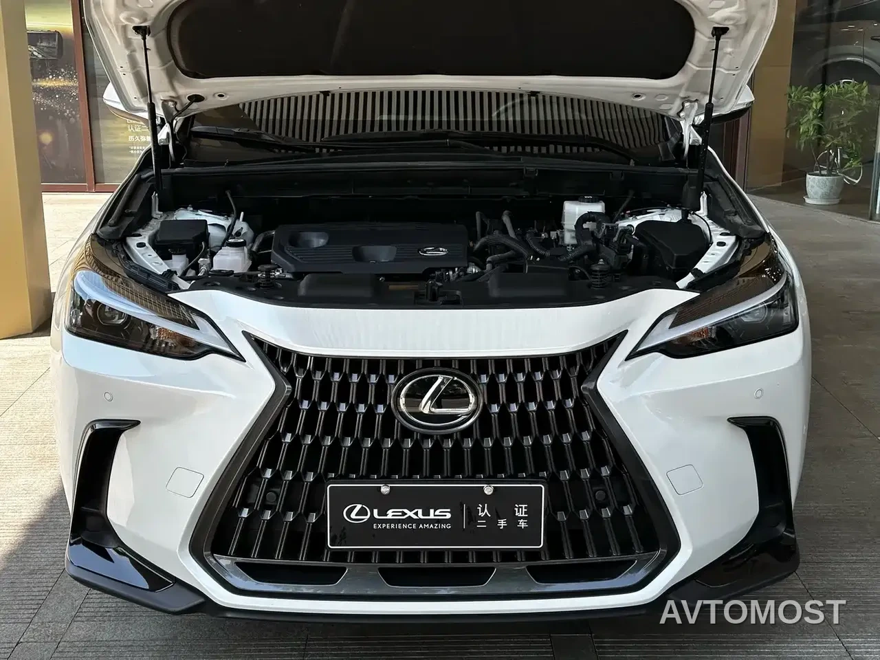 Lexus NX 2023 350h FWD Dynamic Edition — фото 9