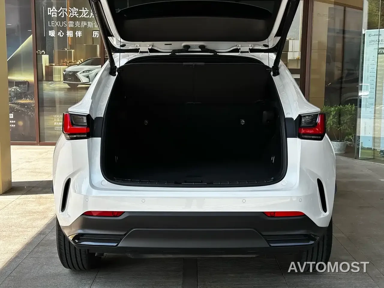 Lexus NX 2023 350h FWD Dynamic Edition — фото 10