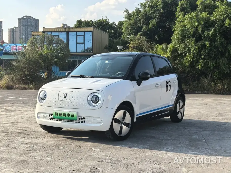 Ora Black Cat 2022 301km Cute Pet Edition (LFP)