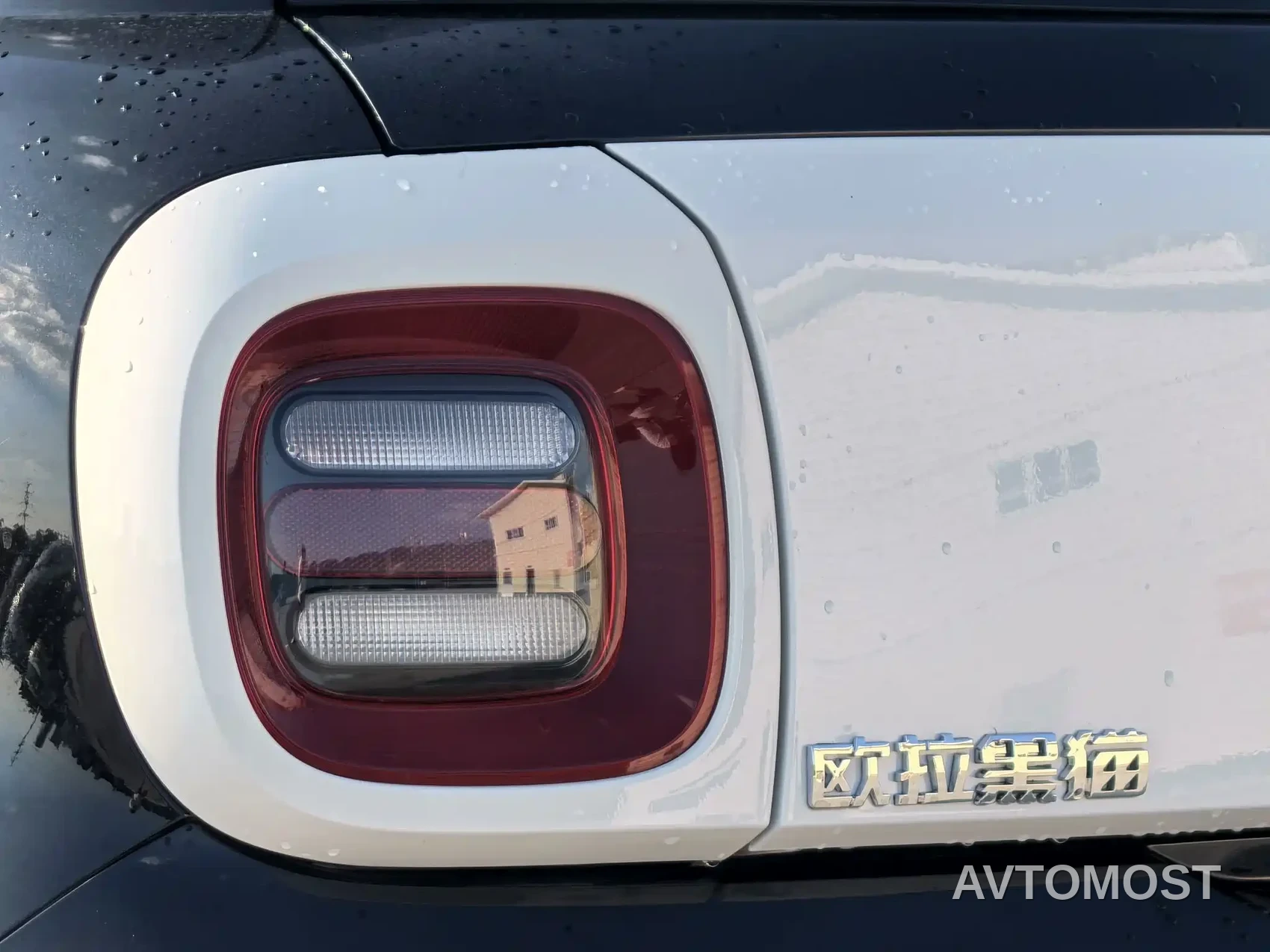 Ora Black Cat 2022 301km Cute Pet Edition (LFP) — фото 12