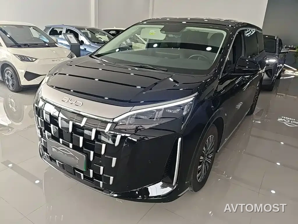 BYD M9 2025 Model 1060 Pilot Edition — фото 2
