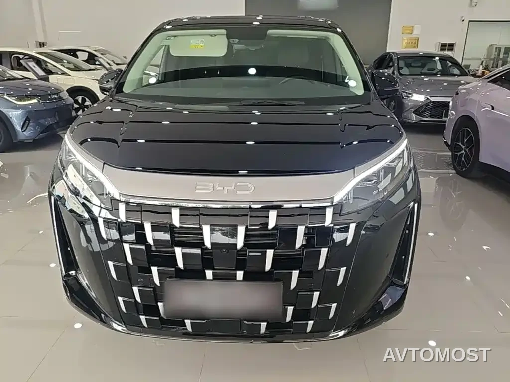 BYD M9 2025 Model 1060 Pilot Edition — фото 3