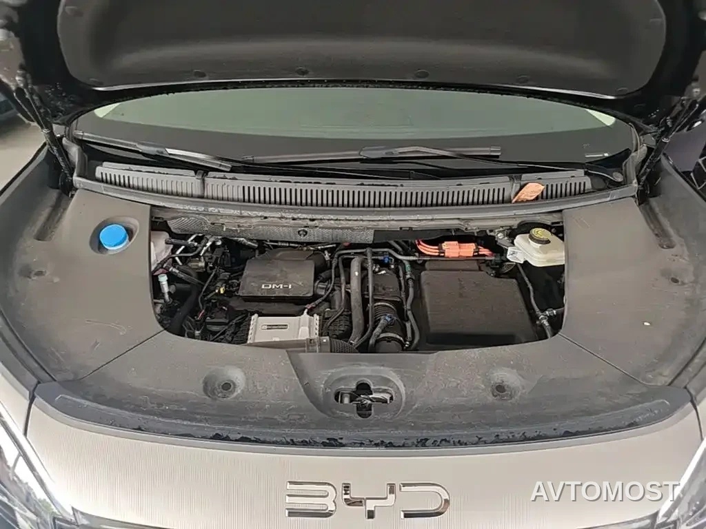 BYD M9 2025 Model 1060 Pilot Edition — фото 13