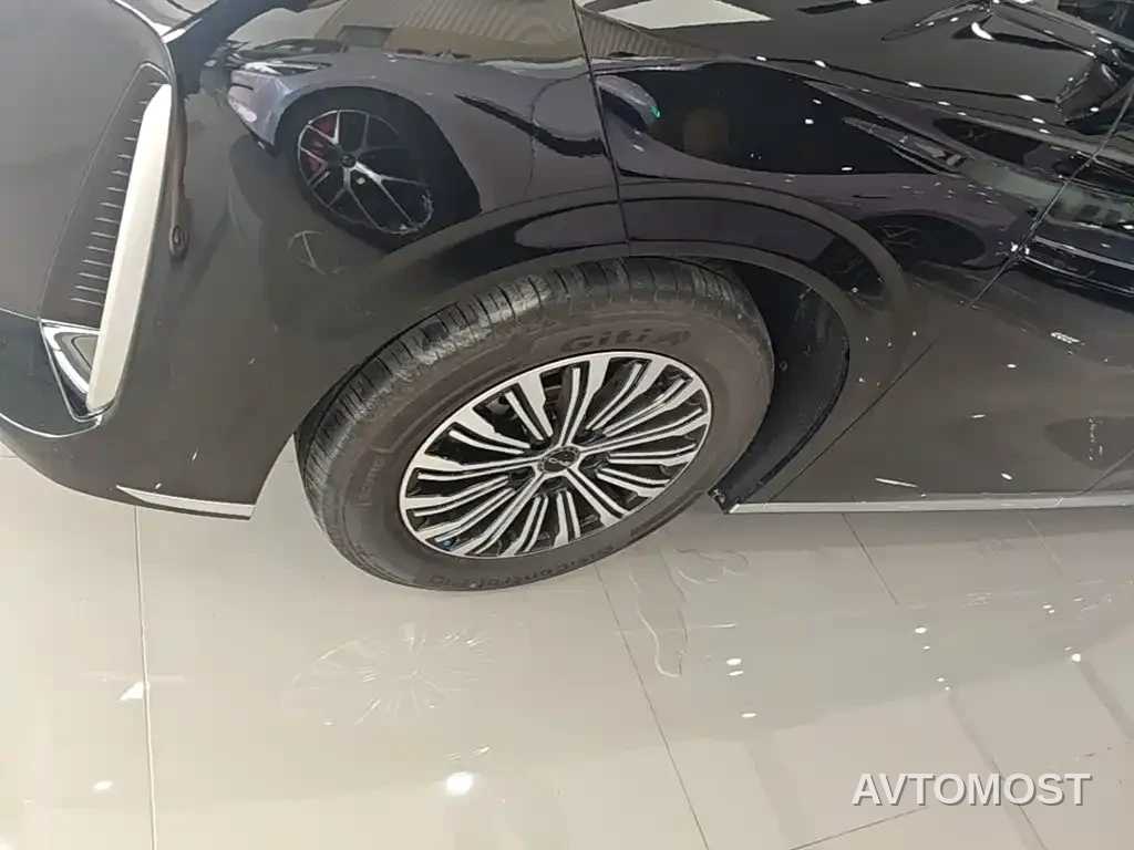 BYD M9 2025 Model 1060 Pilot Edition — фото 16