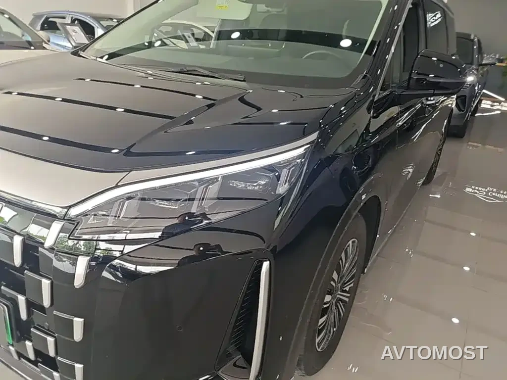 BYD M9 2025 Model 1060 Pilot Edition — фото 17