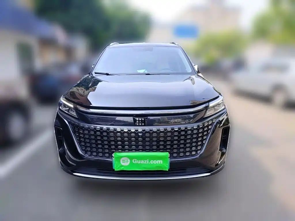 Landian E5 2023 1.5L DE-i 100KM Premium 7-Seater — фото 2