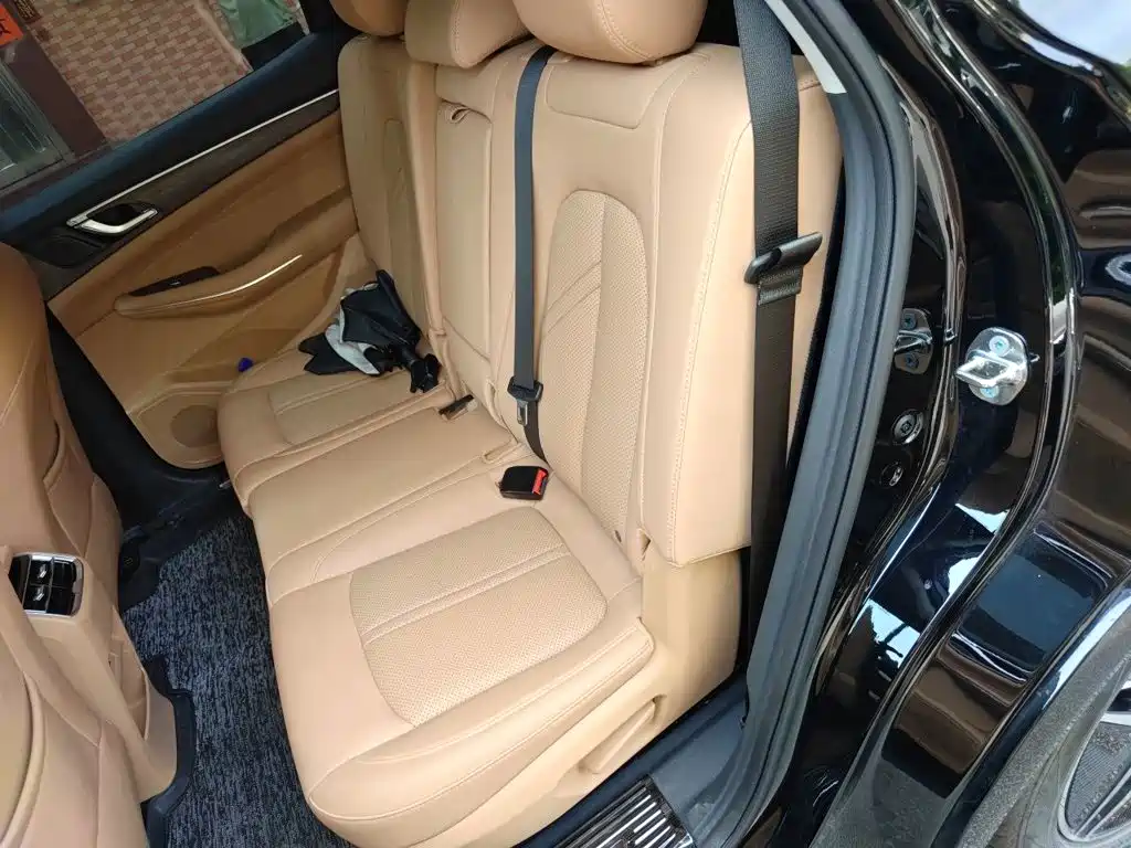 Landian E5 2023 1.5L DE-i 100KM Premium 7-Seater — фото 13