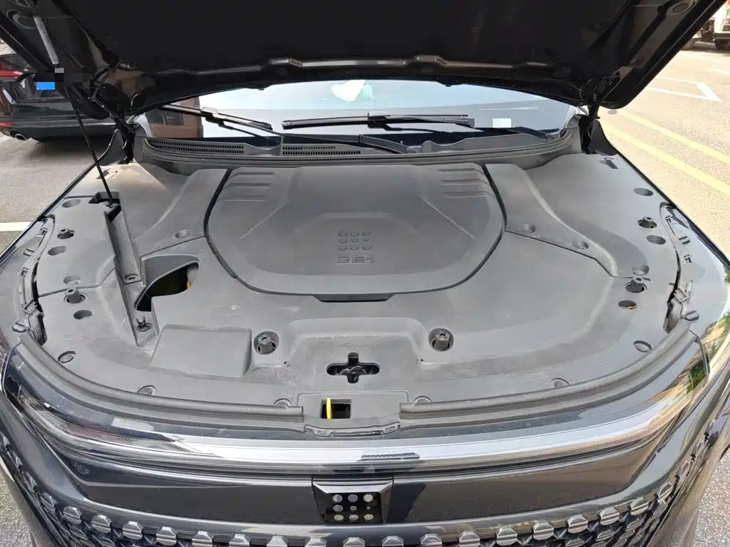 Landian E5 2023 1.5L DE-i 100KM Premium 7-Seater — фото 16