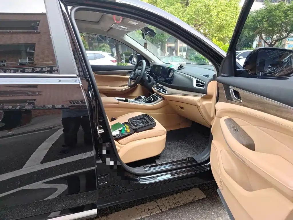Landian E5 2023 1.5L DE-i 100KM Premium 7-Seater — фото 21