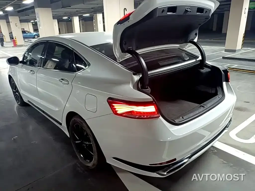 Geely Borui PHEV 2021 1.5T ePro Leading Edition — фото 5