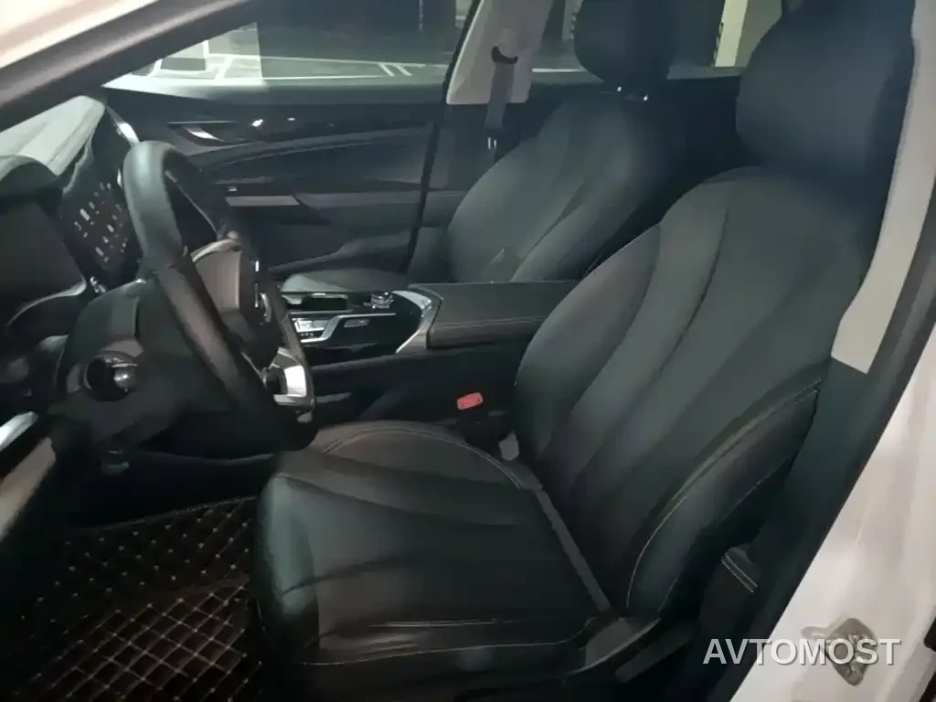 Geely Borui PHEV 2021 1.5T ePro Leading Edition — фото 15