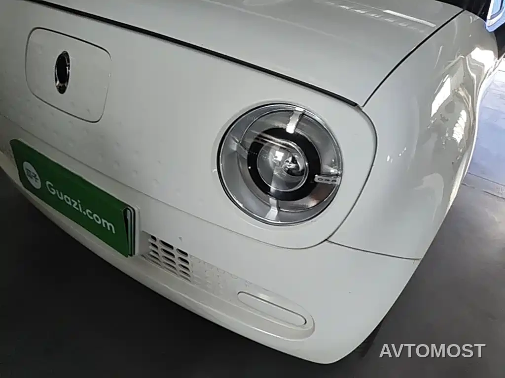 Ora Black Cat 2021 301km Pet Edition — фото 19