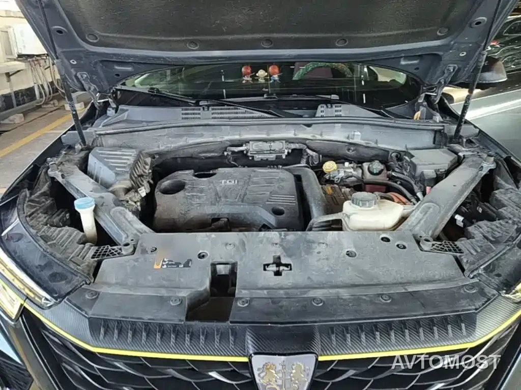 Roewe RX5 New Energy 2021 Model ePLUS National Trend Ronglin Luxury Edition — фото 16