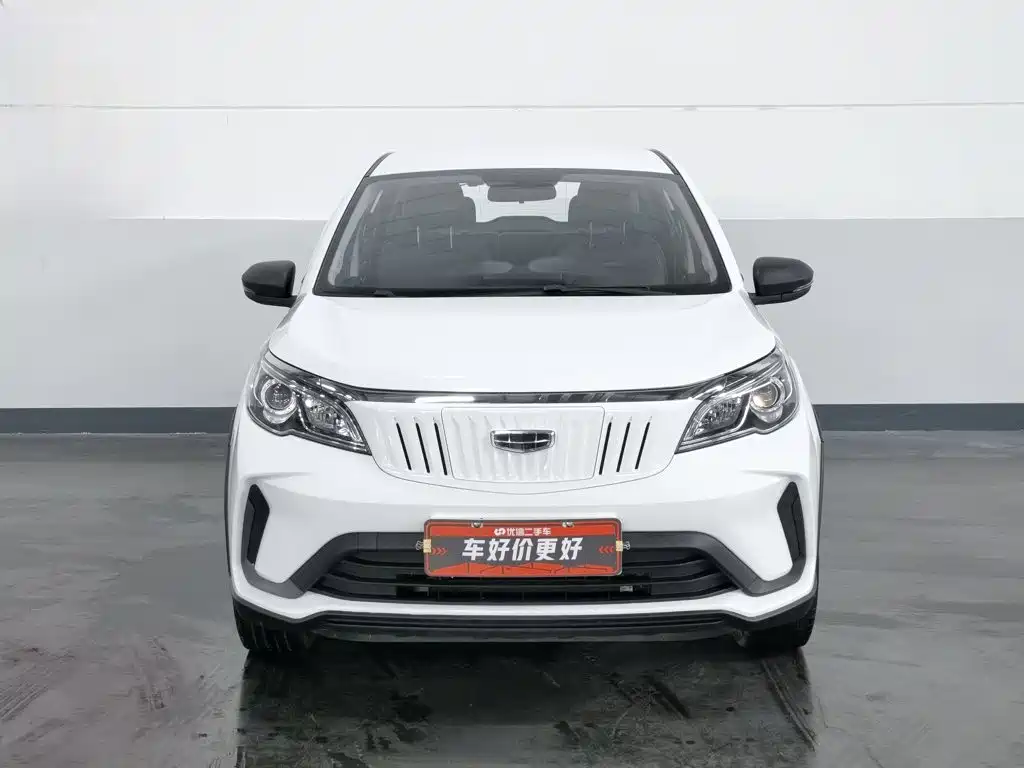 Geely Geometry EX3 Kung Fu Bull 2021 Strong Bull — фото 3