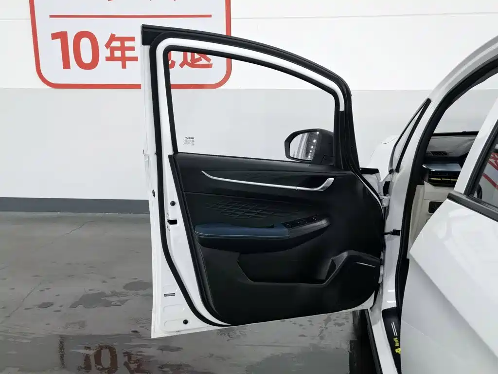 Geely Geometry EX3 Kung Fu Bull 2021 Strong Bull — фото 8