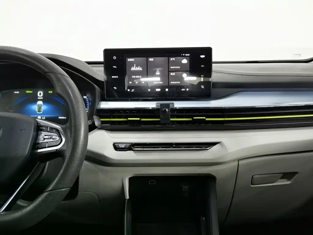 Geely Geometry EX3 Kung Fu Bull 2021 Strong Bull — фото 12