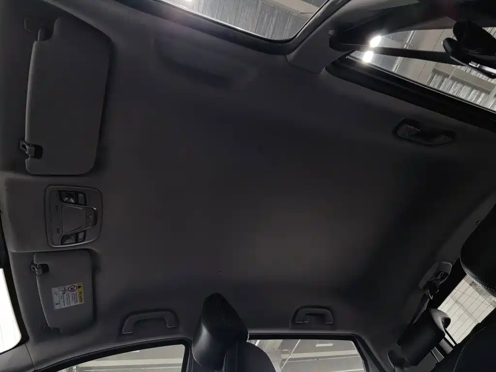 Geely Geometry EX3 Kung Fu Bull 2021 Strong Bull — фото 14