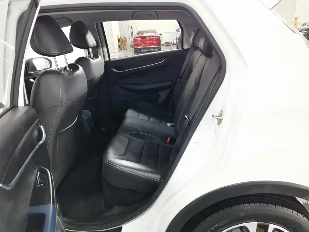 Geely Geometry EX3 Kung Fu Bull 2021 Strong Bull — фото 15