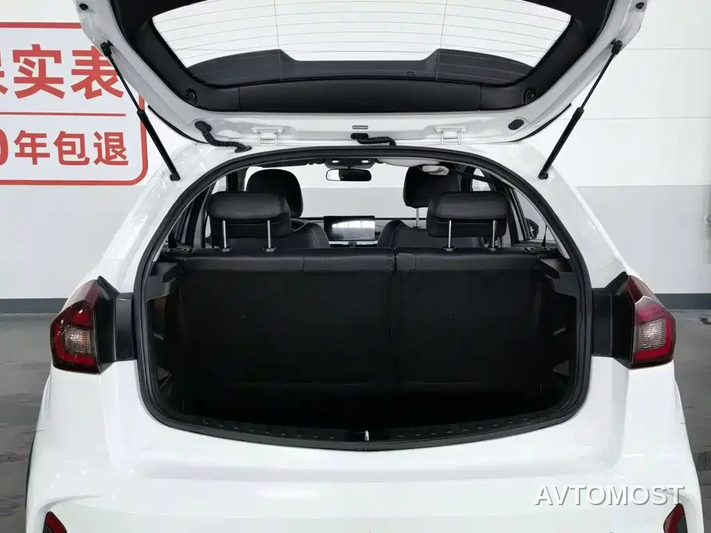 Geely Geometry EX3 Kung Fu Bull 2021 Strong Bull — фото 16