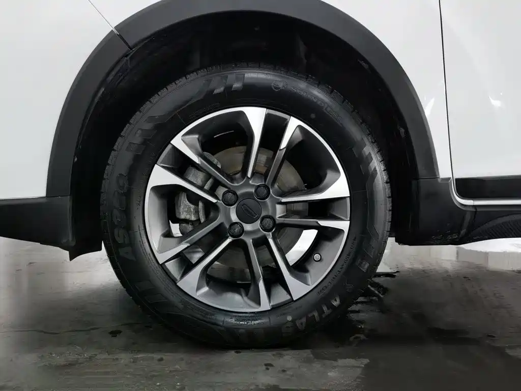 Geely Geometry EX3 Kung Fu Bull 2021 Strong Bull — фото 17