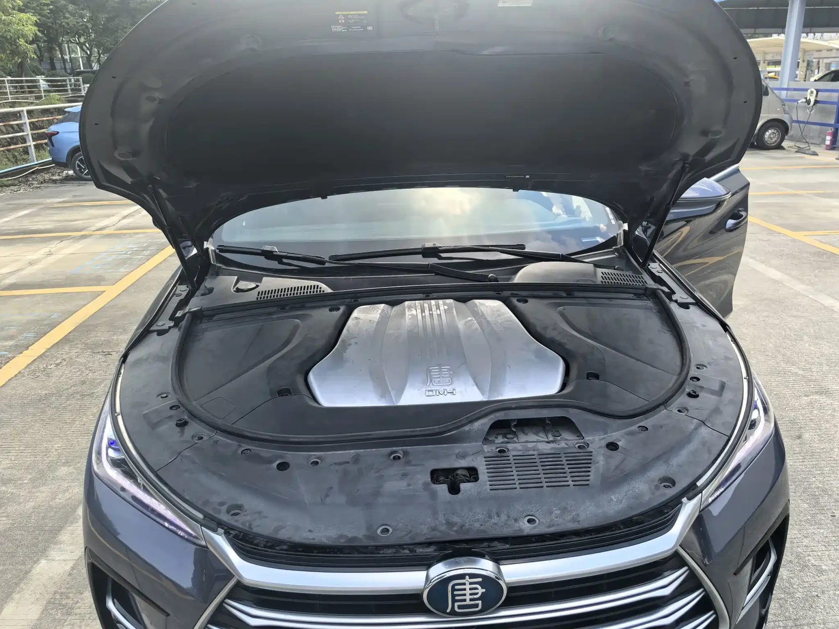 BYD Tang New Energy 2021 DM-i 112KM Premium — фото 8