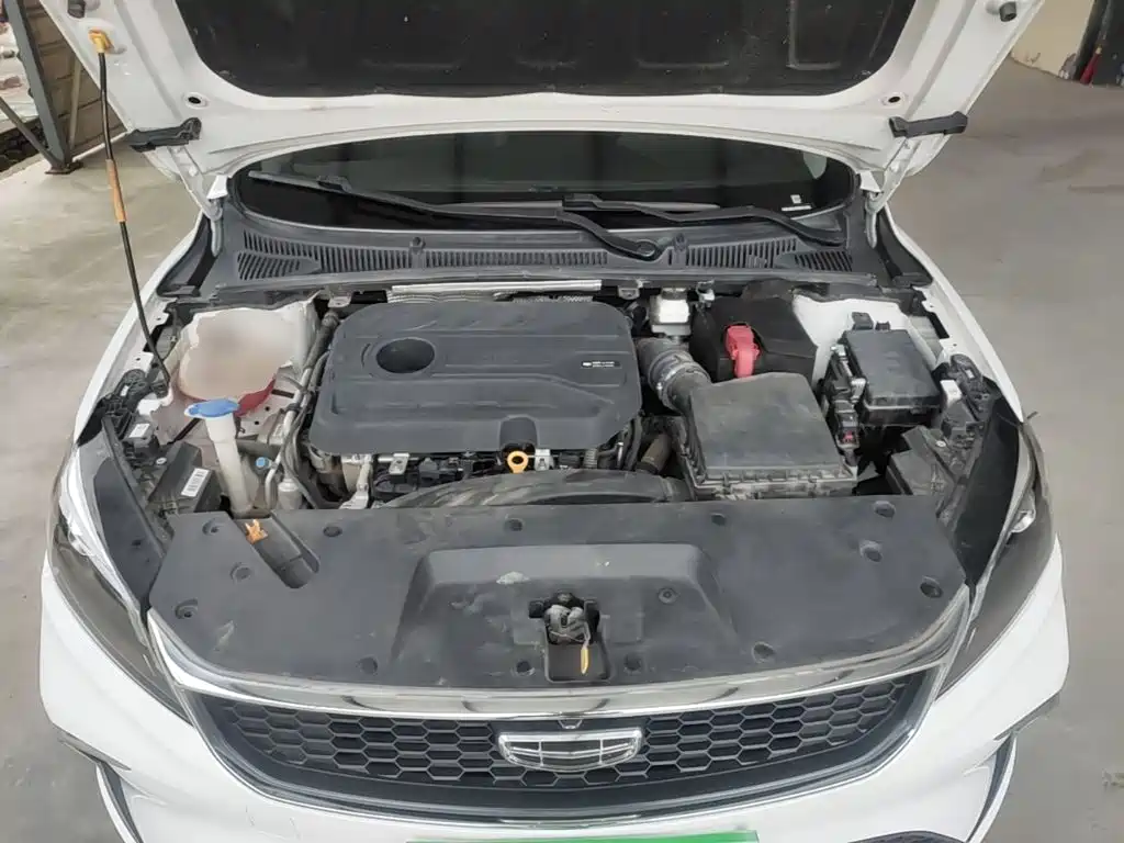 Geely Binrui 2021 1.4T CVT Asian Games Edition — фото 20