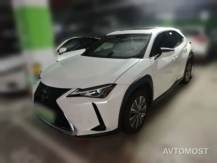 Lexus UX Electric 2020 300e Pure Yue Edition