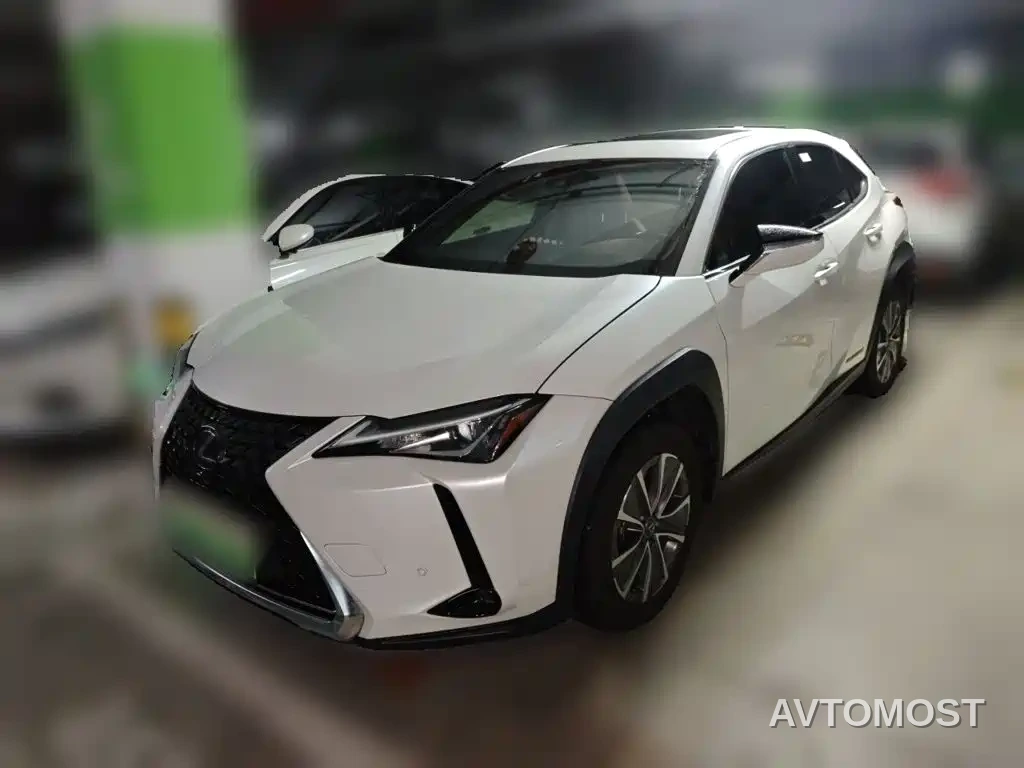 Lexus UX Electric 2020 300e Pure Yue Edition — фото 2