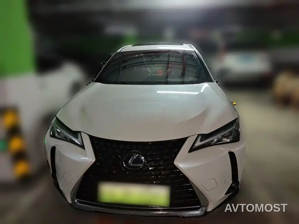 Lexus UX Electric 2020 300e Pure Yue Edition — фото 3