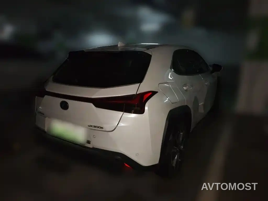 Lexus UX Electric 2020 300e Pure Yue Edition — фото 5