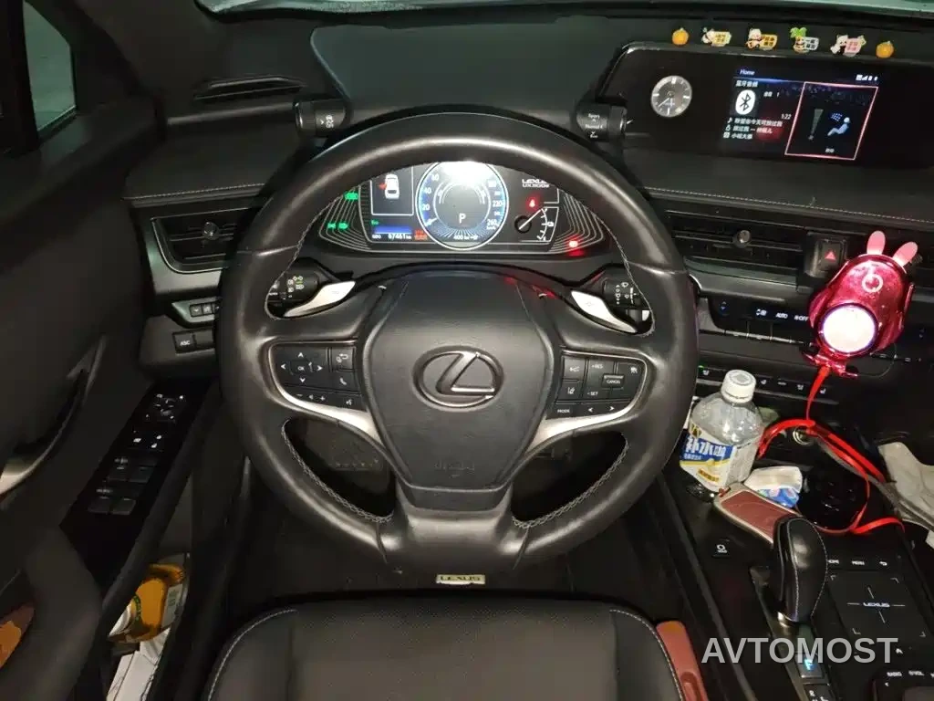 Lexus UX Electric 2020 300e Pure Yue Edition — фото 7