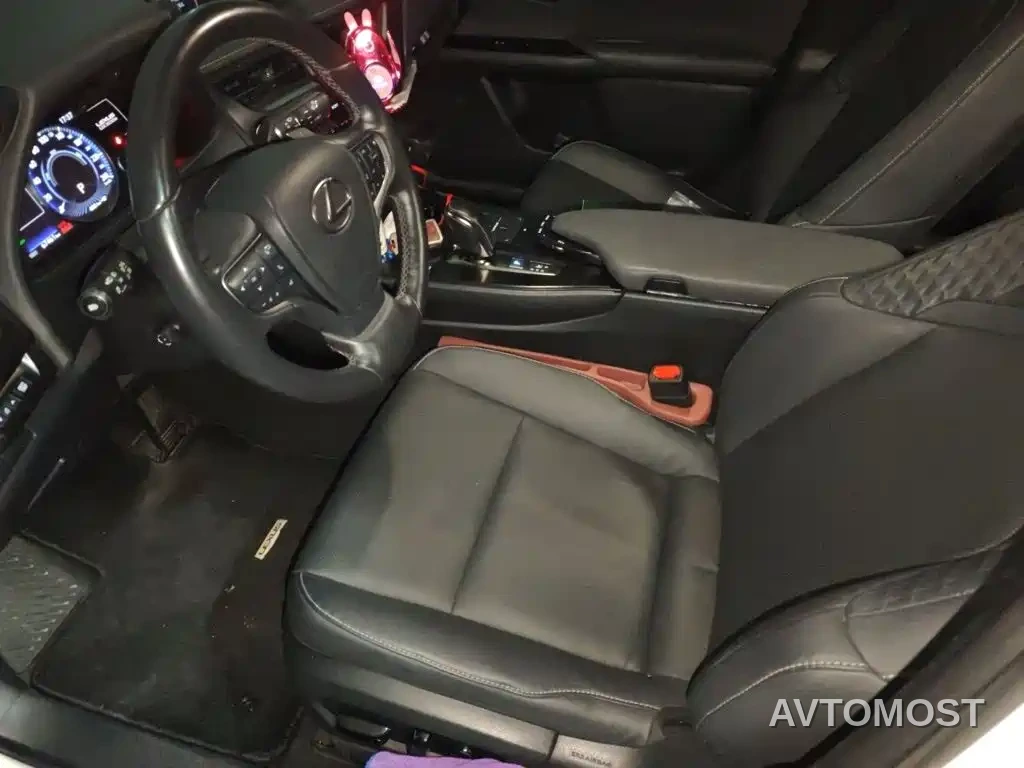Lexus UX Electric 2020 300e Pure Yue Edition — фото 12