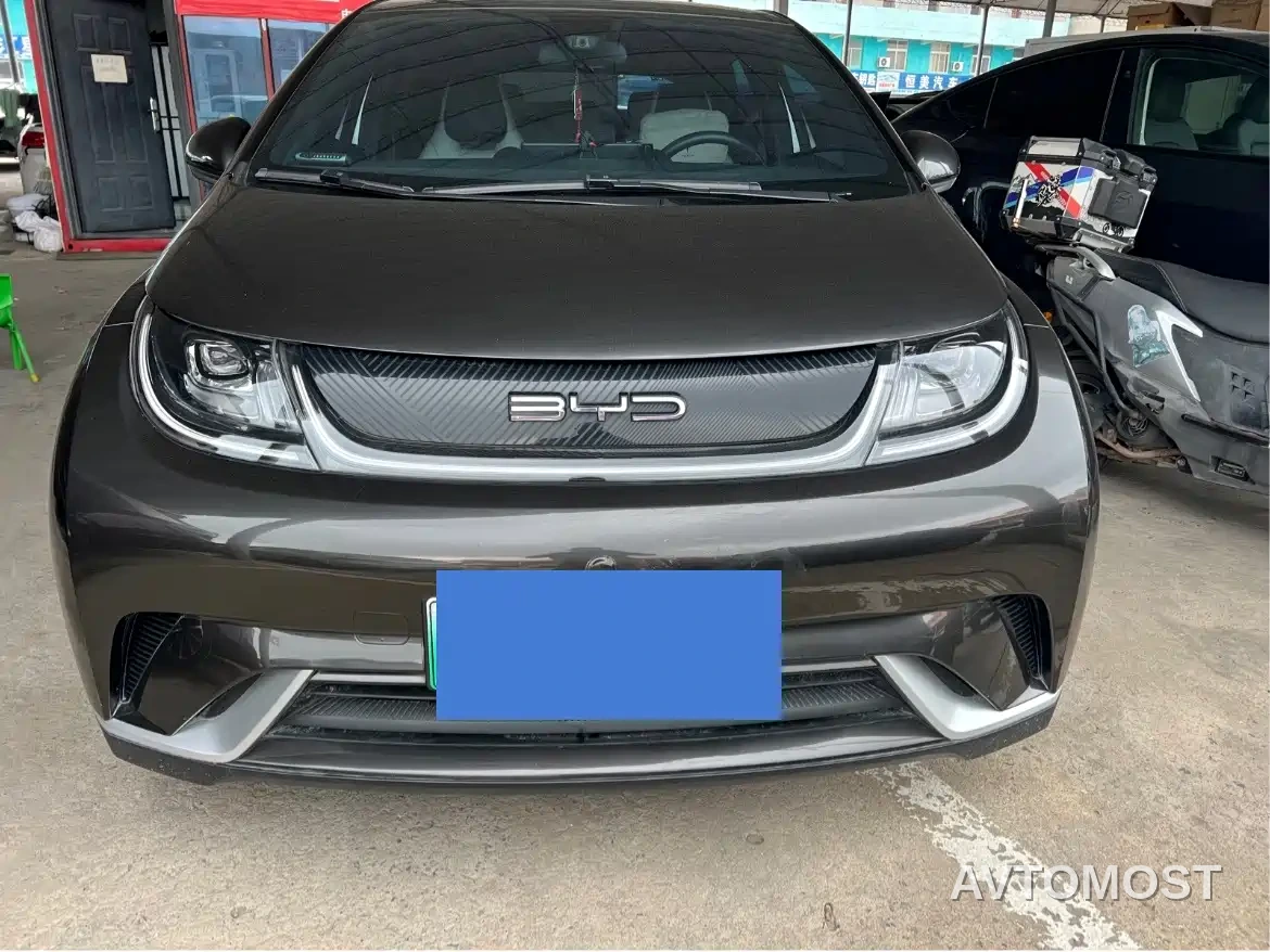 BYD Dolphin 2021 301km Vitality Edition — фото 1