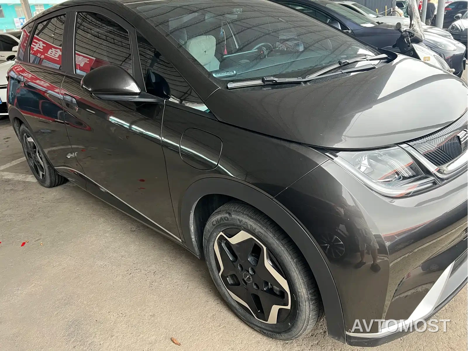 BYD Dolphin 2021 301km Vitality Edition — фото 2