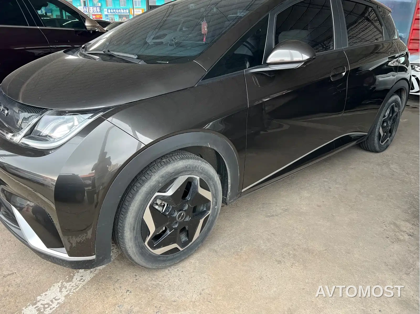BYD Dolphin 2021 301km Vitality Edition — фото 3
