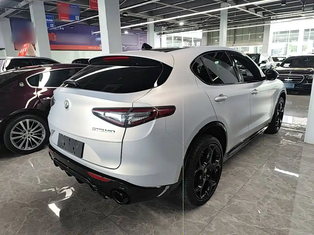 Alfa Romeo Stelvio 2023 2.0T 280HP Competizione Racing Edition — фото 7