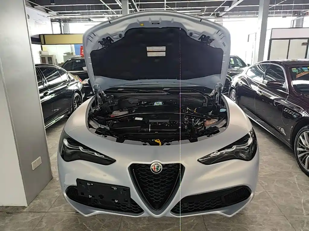 Alfa Romeo Stelvio 2023 2.0T 280HP Competizione Racing Edition — фото 20