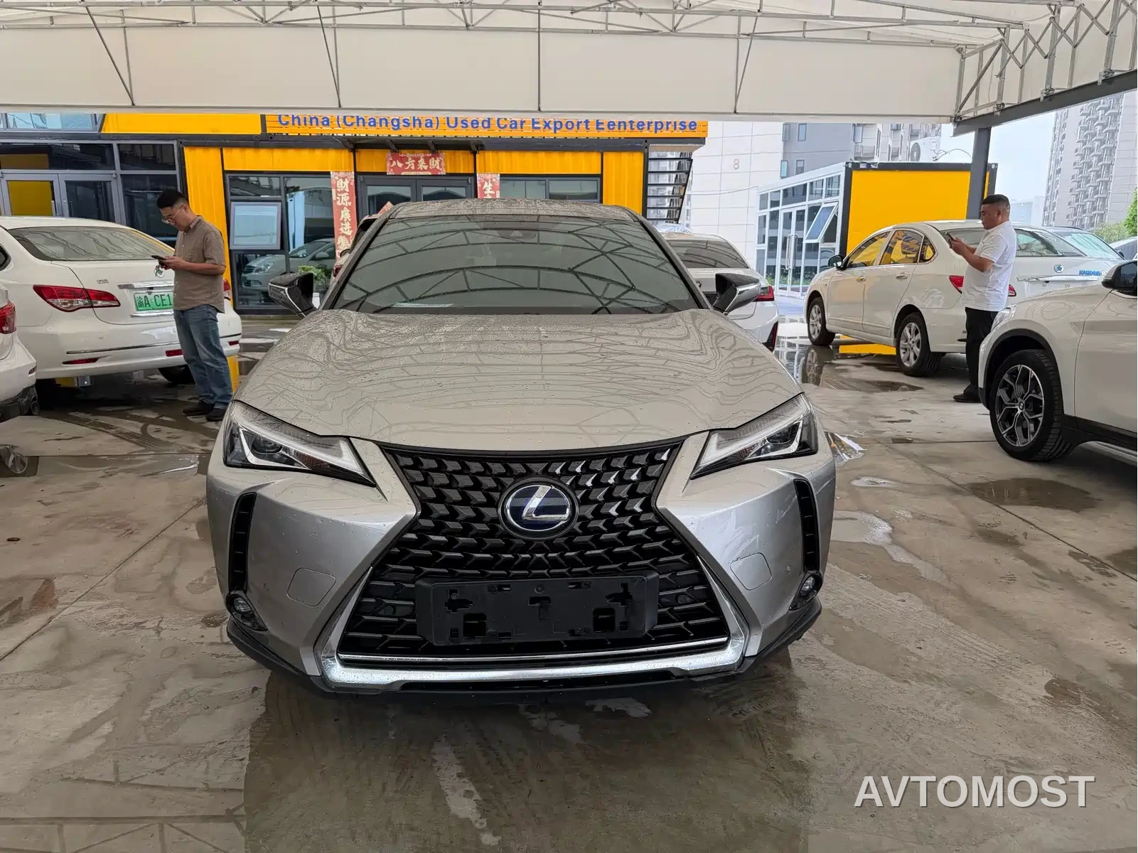 Lexus UX Electric 2020 300e Pure Yue Edition — фото 1