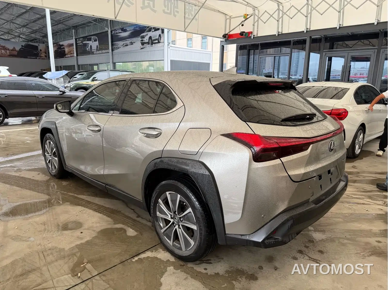 Lexus UX Electric 2020 300e Pure Yue Edition — фото 3