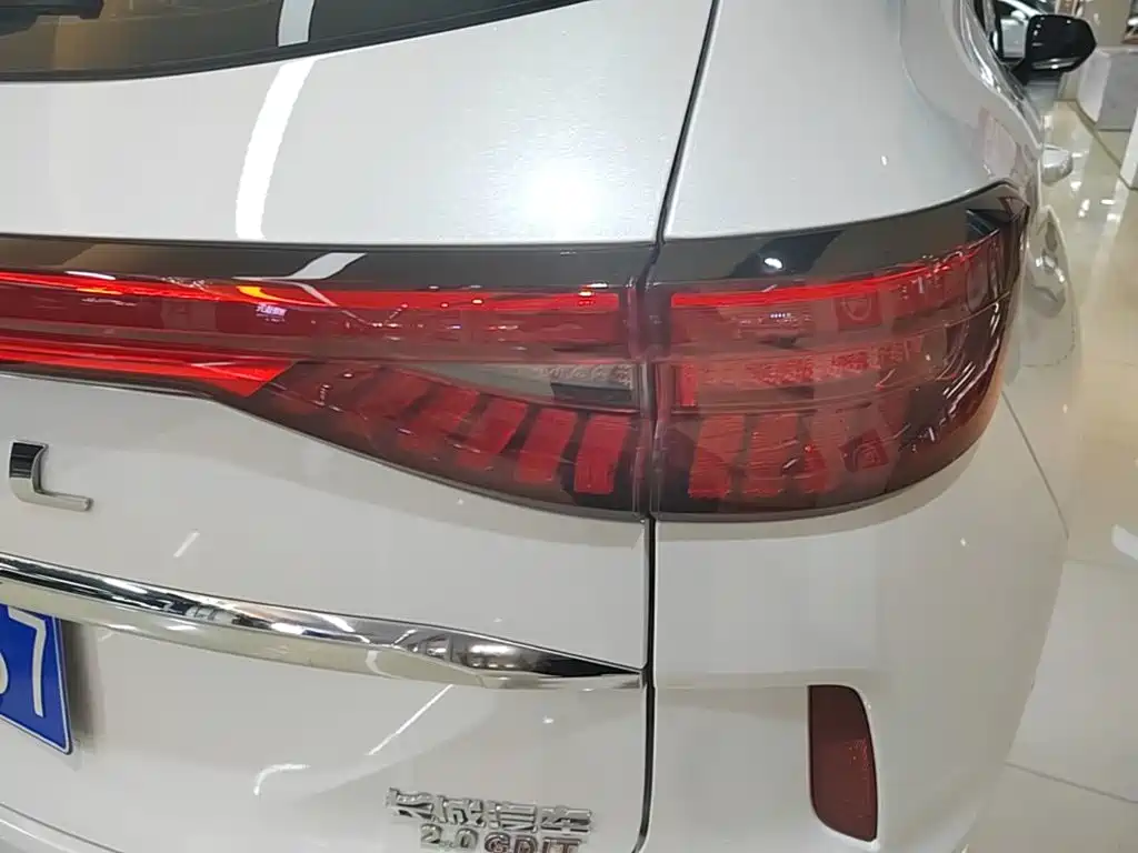 Haval H6 2021 3rd Generation 2.0T Auto 2WD Max — фото 8