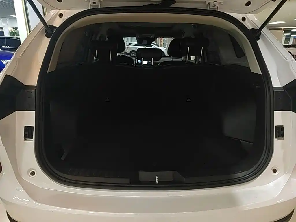Haval H6 2021 3rd Generation 2.0T Auto 2WD Max — фото 19