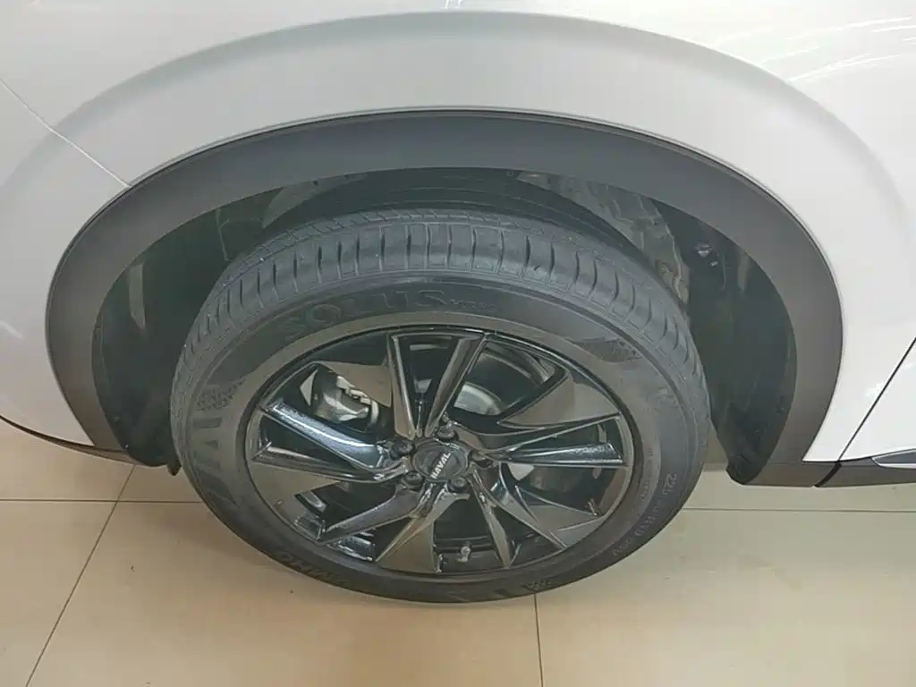 Haval H6 2021 3rd Generation 2.0T Auto 2WD Max — фото 23