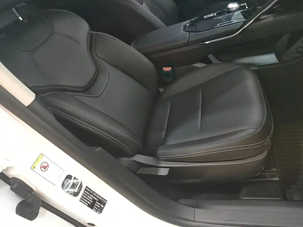 Haval H6 2021 3rd Generation 2.0T Auto 2WD Max — фото 25