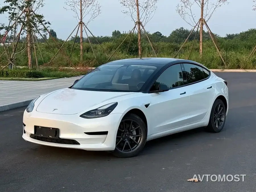 Tesla Model 3 2020 Facelift Standard Range RWD Upgrade