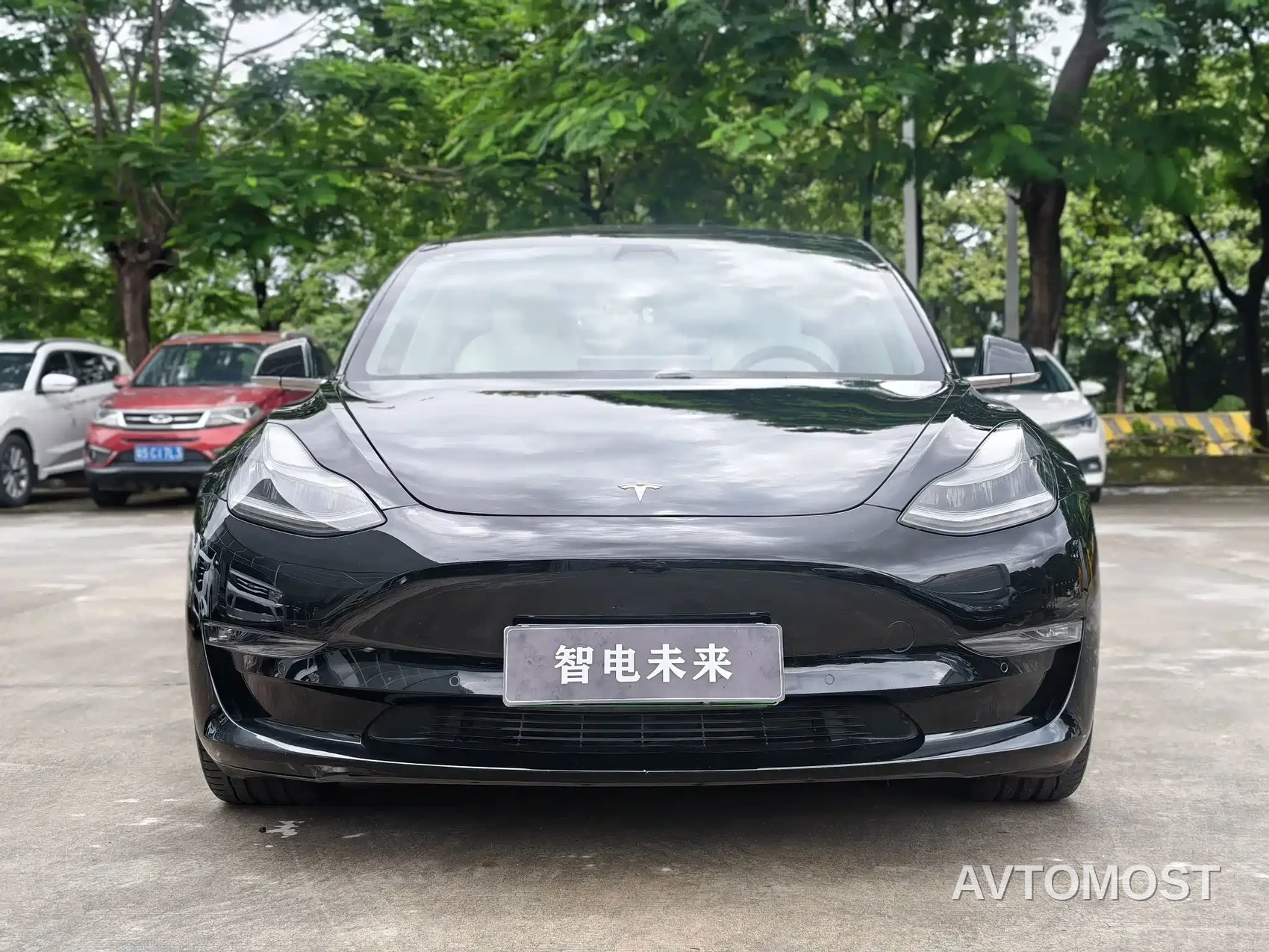 Tesla Model 3 (Import) 2019 Performance High-Efficiency All-Wheel Drive Version — фото 3