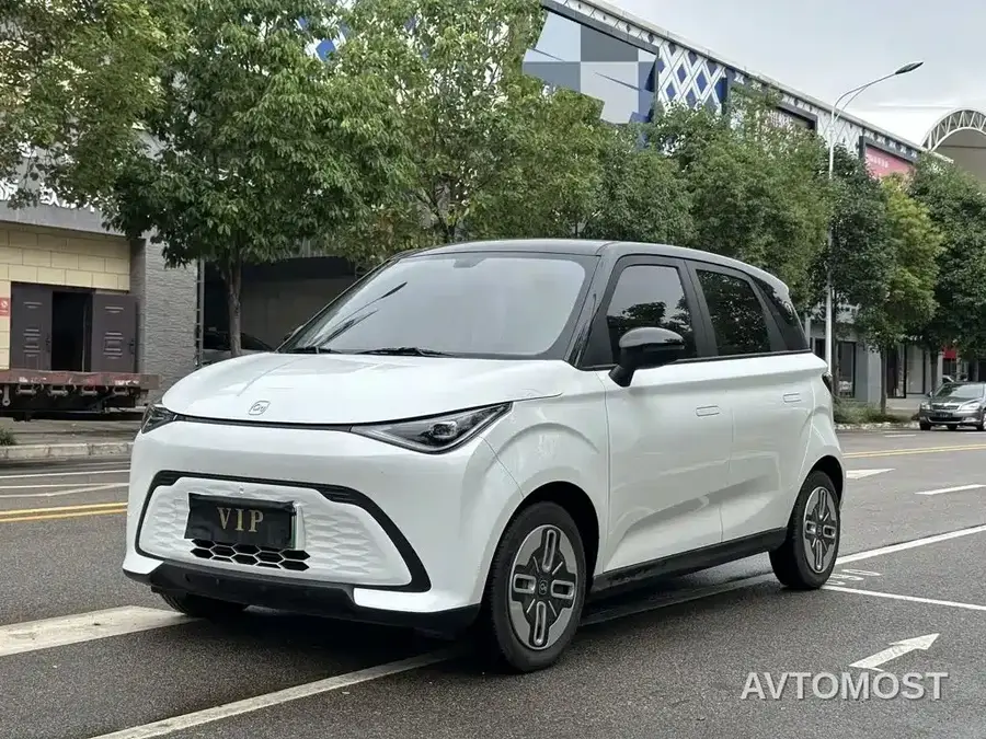 QQ New Energy Duomi 2025 305km Comfort Edition